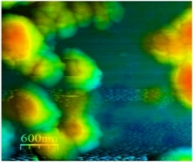 material-sci
